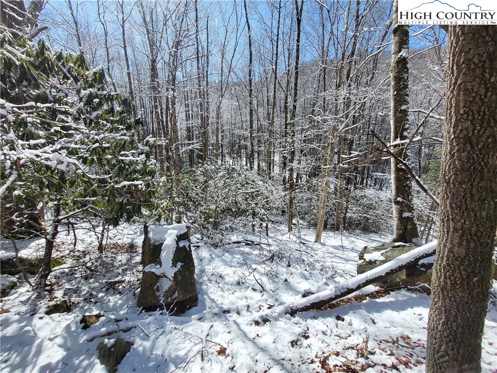 303 Jackpine Road Beech Mountain, NC 28604 - Photo 2 of 15 Gallery Image 2