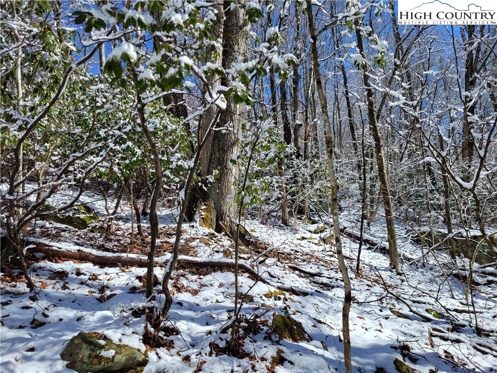 303 Jackpine Road Beech Mountain, NC 28604 - Photo 4 of 15 Gallery Image 4