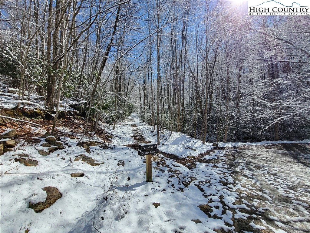 303 Jackpine Road Beech Mountain, NC 28604 - Photo 5 of 15 Gallery Image 5