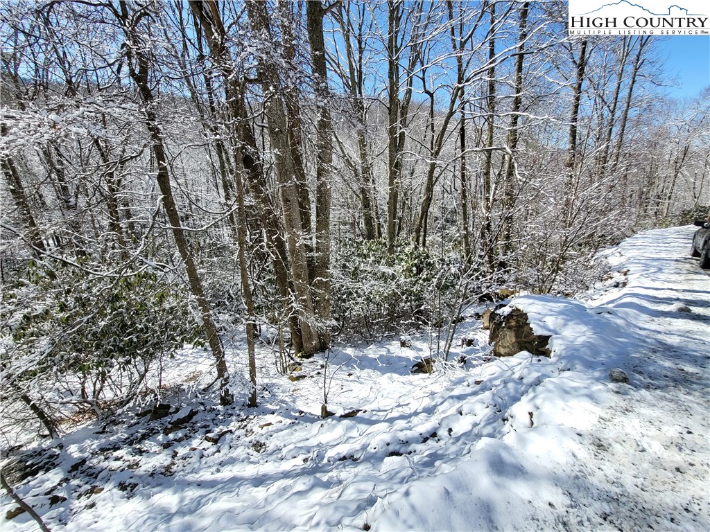 303 Jackpine Road Beech Mountain, NC 28604 - Photo 6 of 15 Gallery Image 6