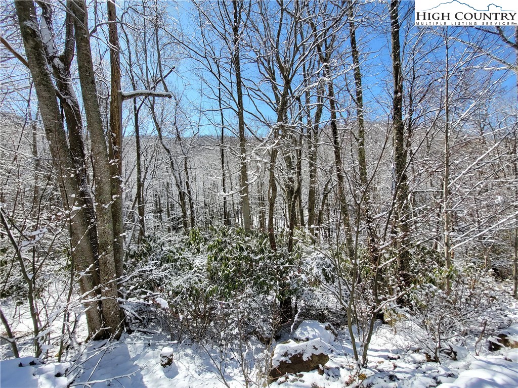 303 Jackpine Road Beech Mountain, NC 28604 - Photo 7 of 15 Gallery Image 7