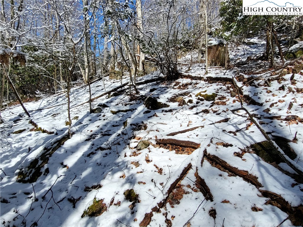 303 Jackpine Road Beech Mountain, NC 28604 - Photo 8 of 15 Gallery Image 8