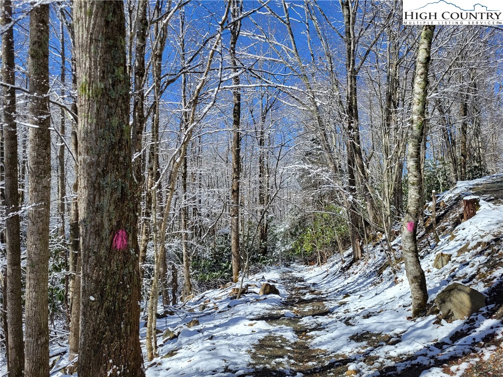 303 Jackpine Road Beech Mountain, NC 28604 - Photo 10 of 15 Gallery Image 10