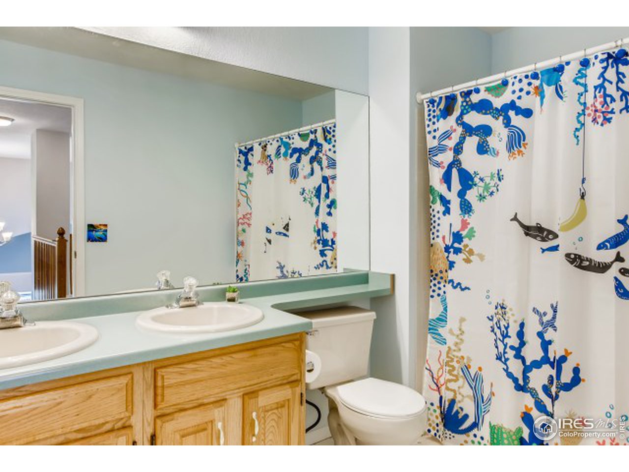 550 Rider Ridge Drive Longmont, CO 80504 - Photo 27 of 38