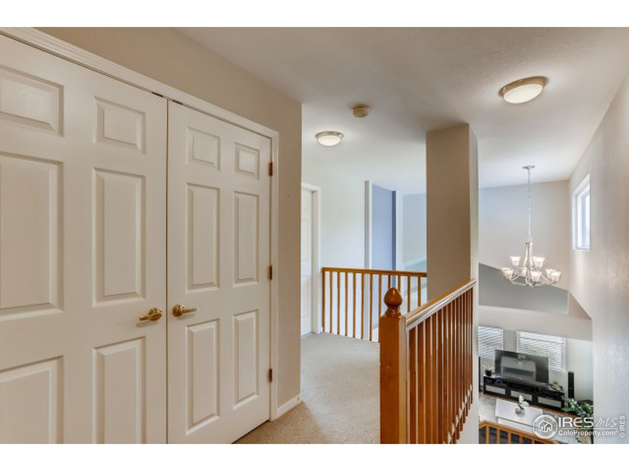 550 Rider Ridge Drive Longmont, CO 80504 - Photo 28 of 38