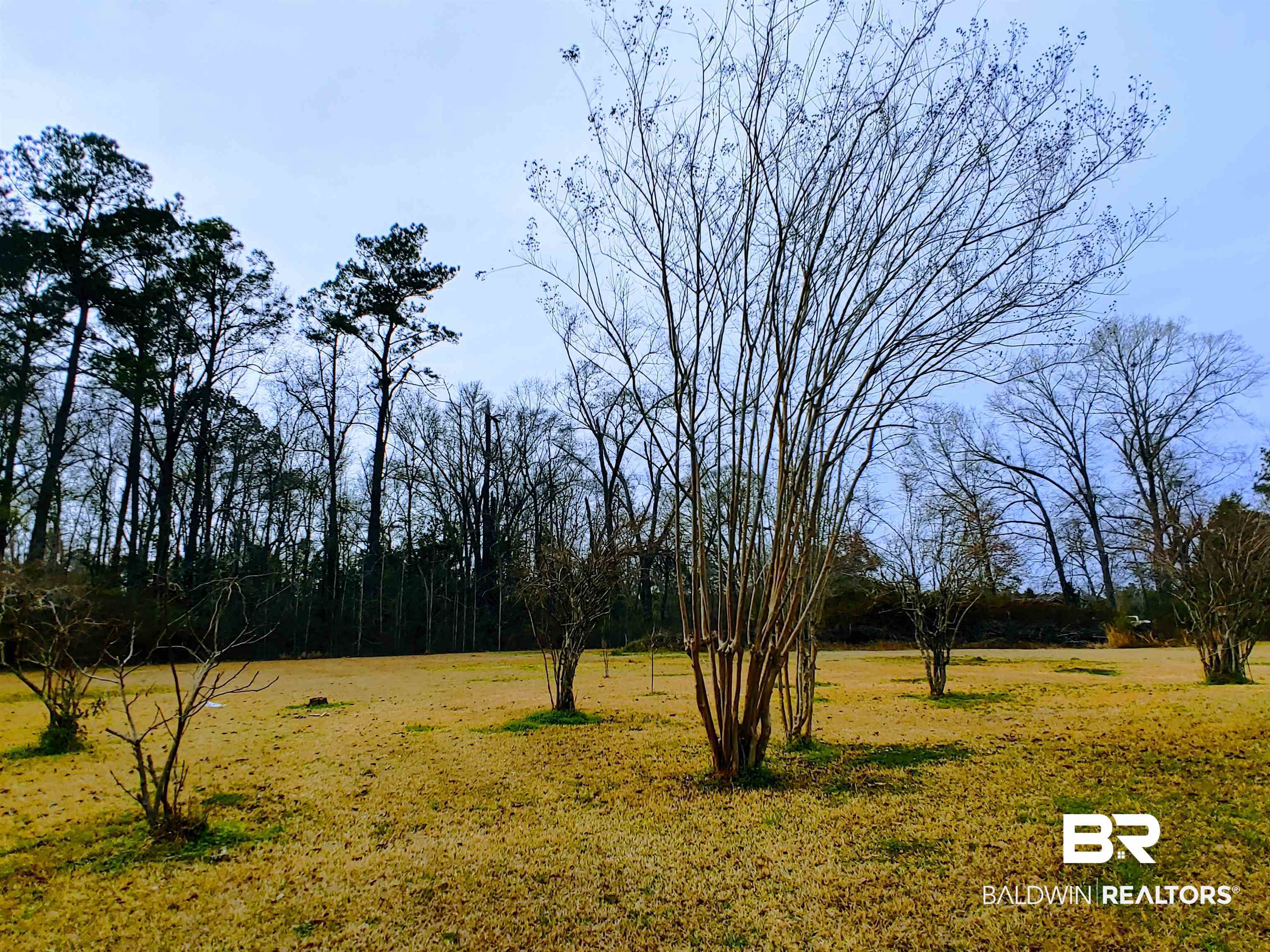 102 Nichols Road McIntosh, AL 36553 - Photo 27 of 27