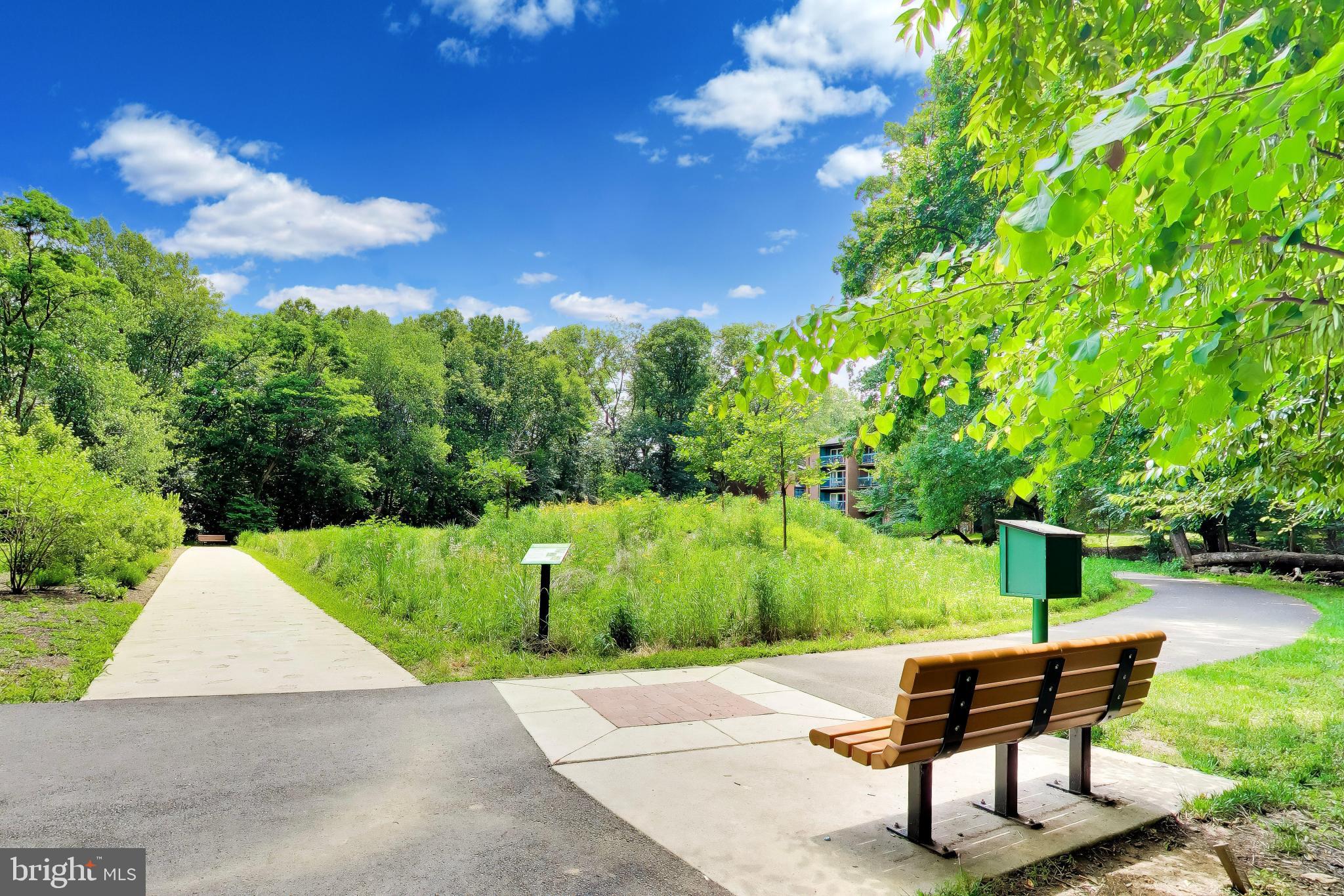 11830 Breton Court, Unit 23B Reston, VA 20191 - Photo 36 of 43 Tranquil park path under blue skies.