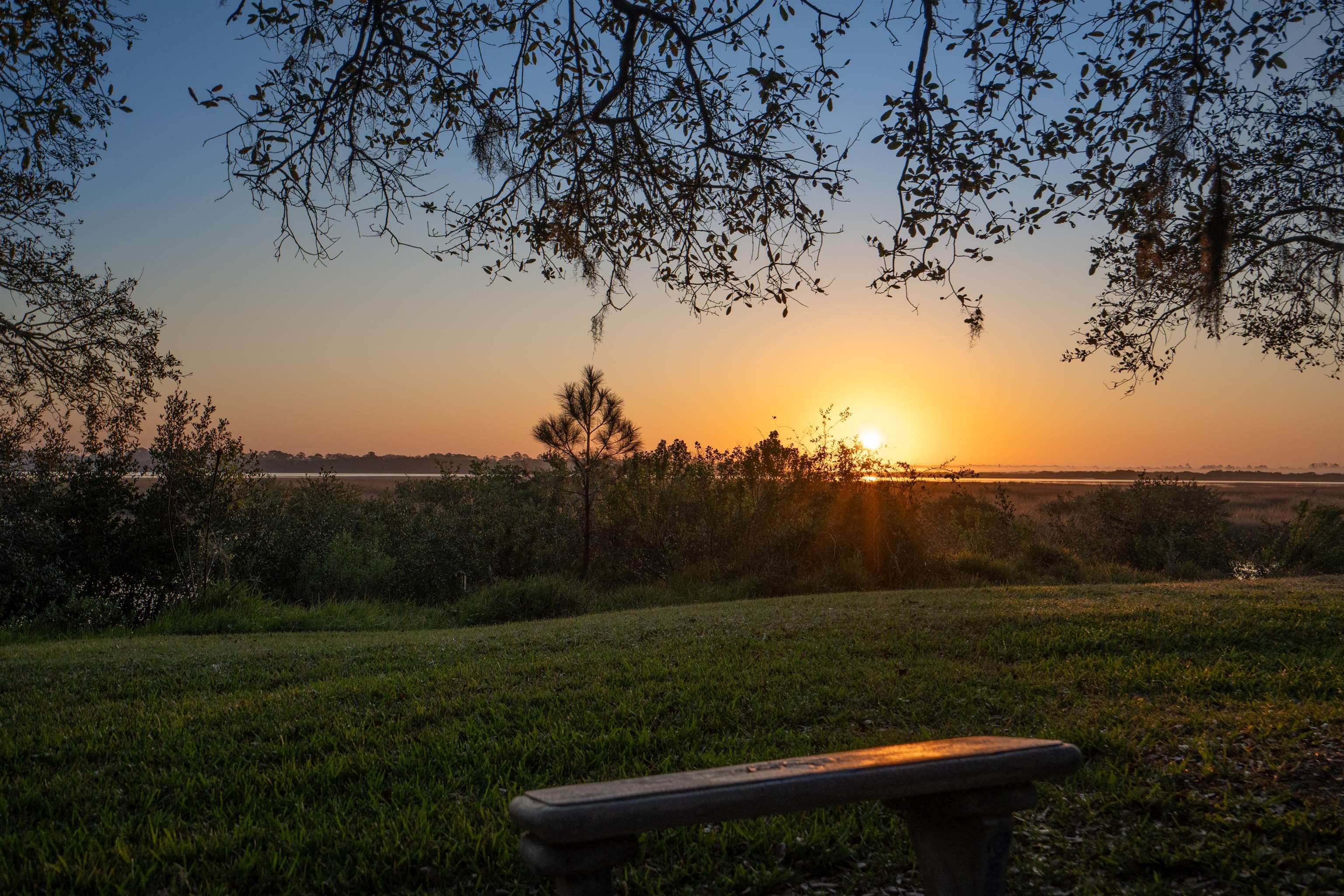 176 Linden Road St. Augustine, FL 32086 - Photo 42 of 50 Gallery Image 42