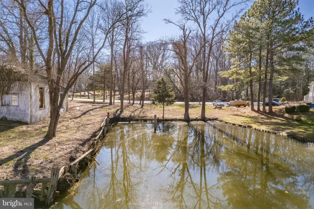 a view of a yard with trees