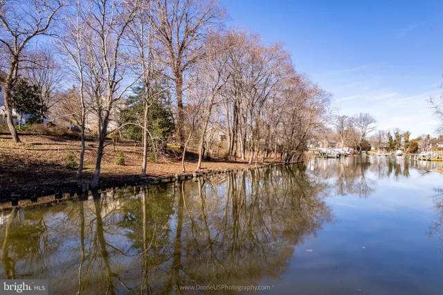 a body of water with a tree in the background