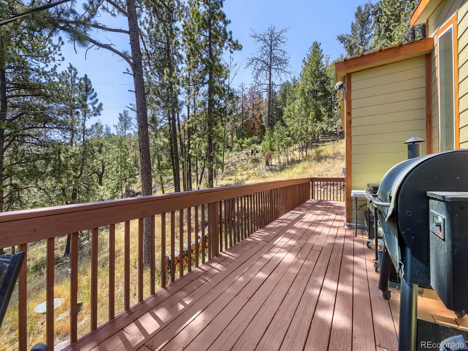1423 Roland Drive Bailey, CO 80421 - Photo 23 of 36