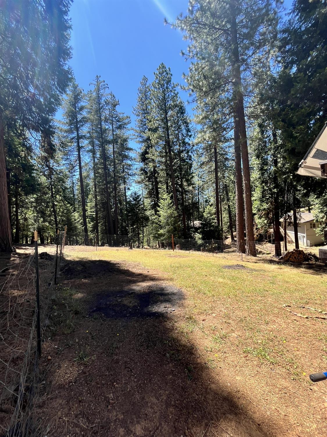 5635 Azalea Circle Pollock Pines, CA 95726 - Photo 14 of 20 Back Yard