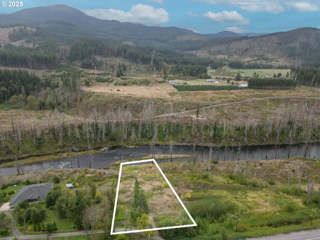 a view of a swimming pool with a yard