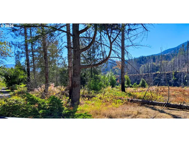 $319,990 | 35220 North Santiam Highway, Gates, OR 97346