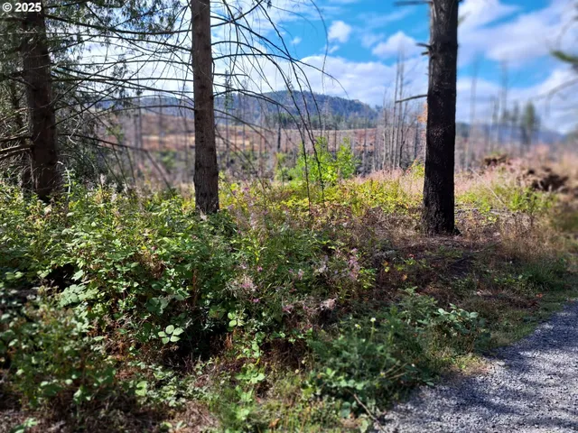 $319,990 | 35220 North Santiam Highway, Gates, OR 97346