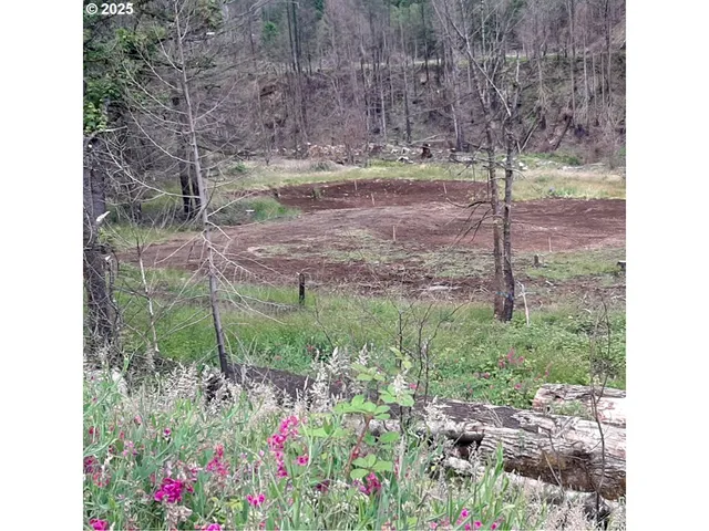 $319,990 | 35220 North Santiam Highway, Gates, OR 97346