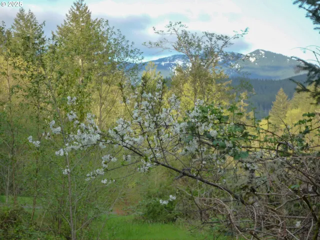 $319,990 | 35220 North Santiam Highway, Gates, OR 97346