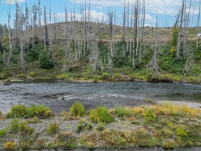 a view of a back yard