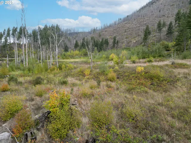 a view of a lake with a mountain