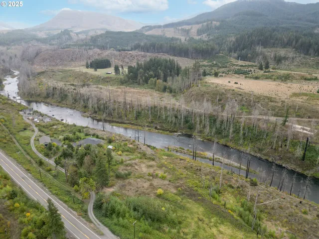 a view of a pathway with a yard