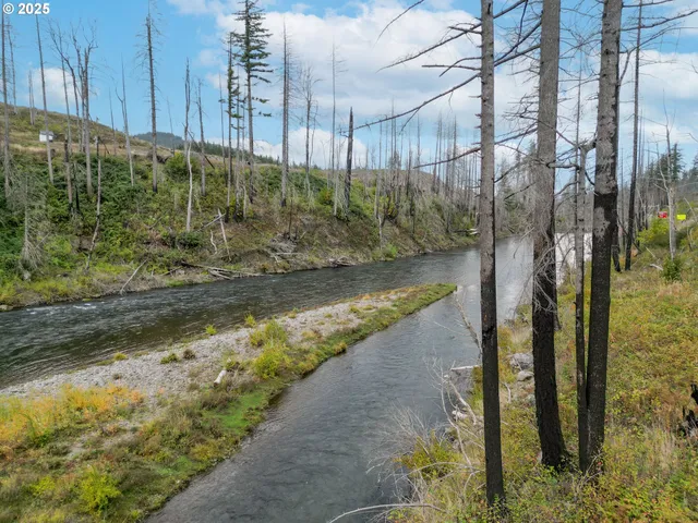a view of swimming pool with a yard