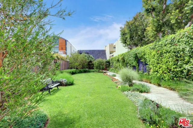 a view of a garden with plants and large trees