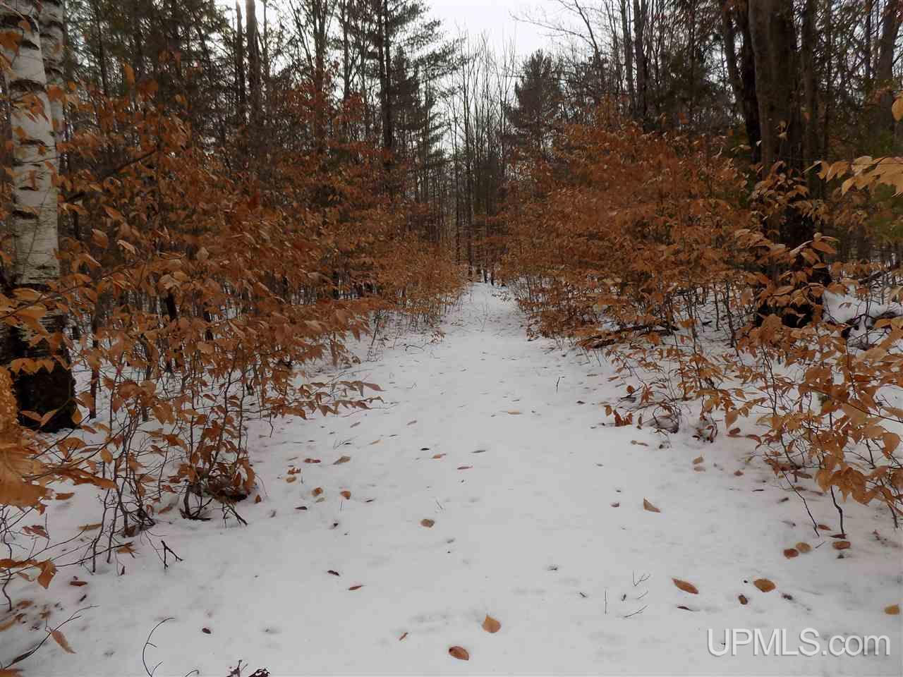 Tbd Co Rd 452 Manistique, MI 49854 - Photo 2 of 12 Gallery Image 2