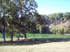 1250 Reynolds Road, Unit 13 Piney Flats, TN 37686 - Photo 11 of 12 Photo 11