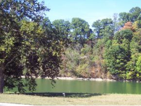 1250 Reynolds Road, Unit 13 Piney Flats, TN 37686 - Photo 4 of 12 Photo 4