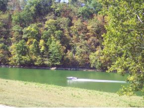 1250 Reynolds Road, Unit 13 Piney Flats, TN 37686 - Photo 7 of 12 Photo 7
