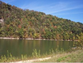 1250 Reynolds Road, Unit 13 Piney Flats, TN 37686 - Photo 8 of 12 Photo 8