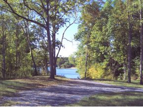 1250 Reynolds Road, Unit 13 Piney Flats, TN 37686 - Photo 10 of 12 Photo 10