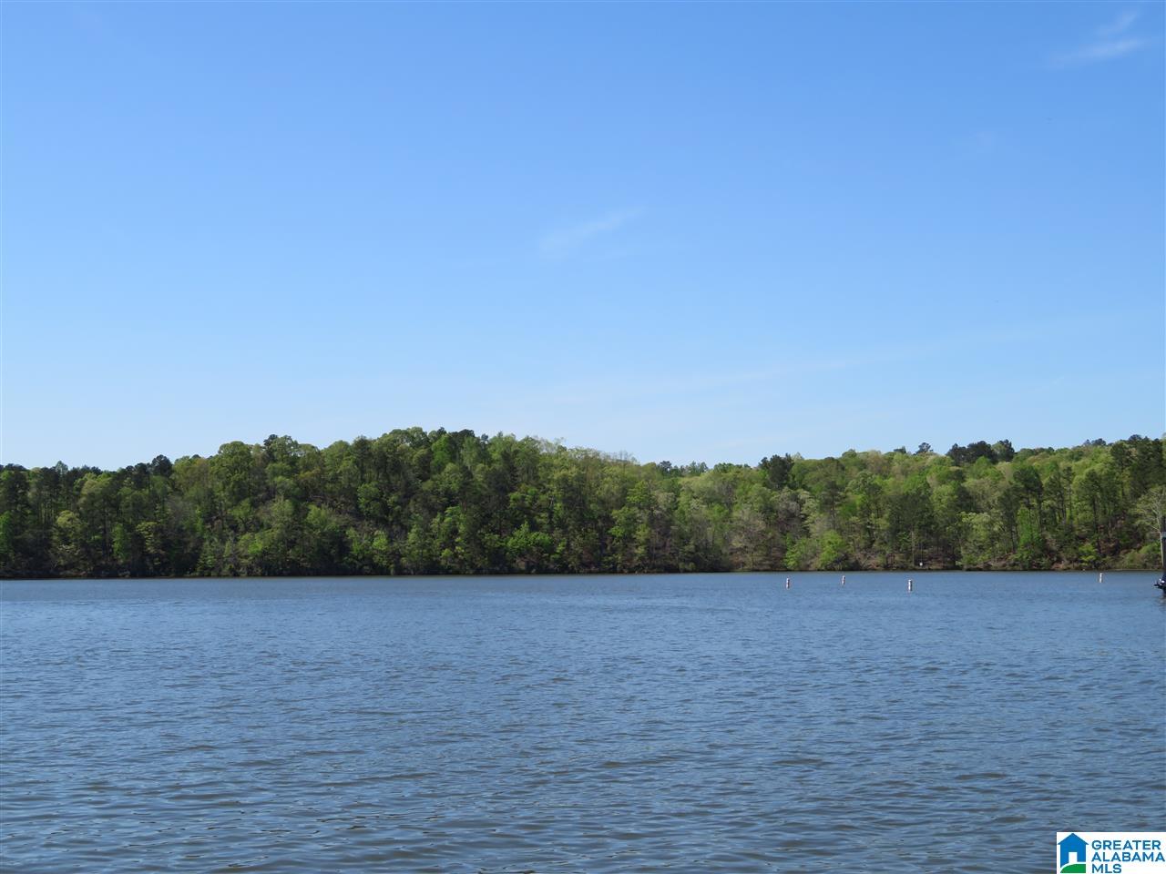 Lot 14 Eagle Point Trace, Unit 14 Alexander City, AL 35010 - Photo 10 of 13