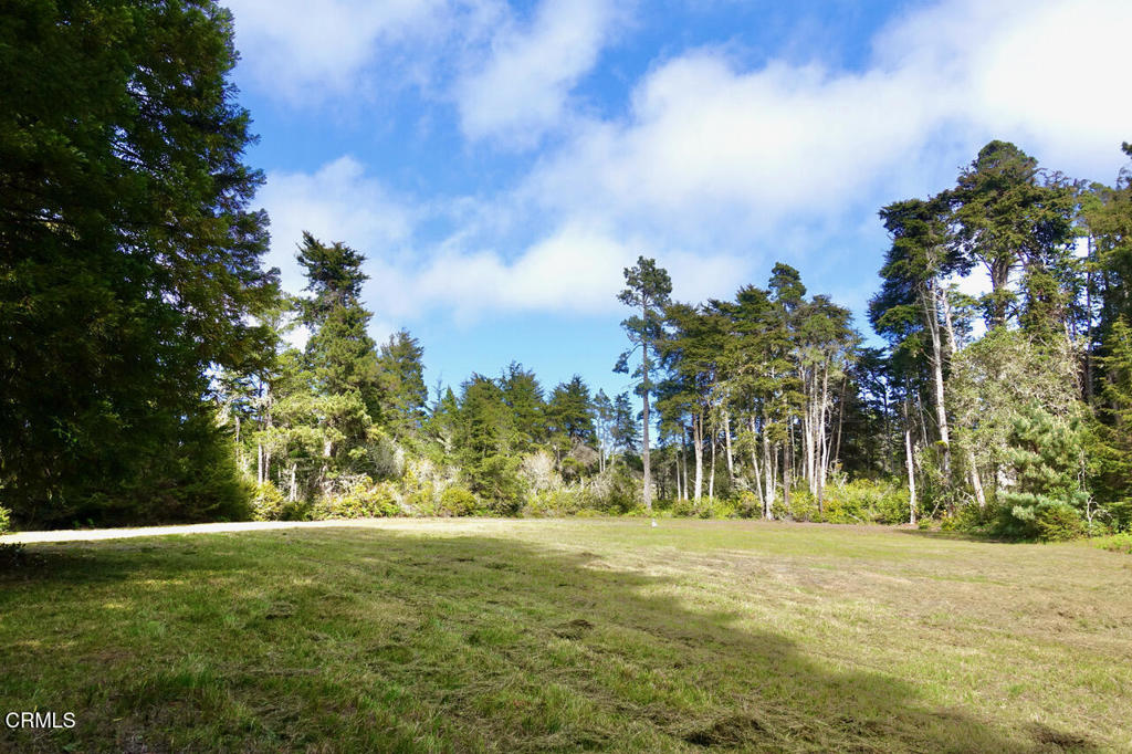 43535 Comptche Ukiah Road Mendocino, CA 95460 - Photo 12 of 16 a view of outdoor space with trees all around