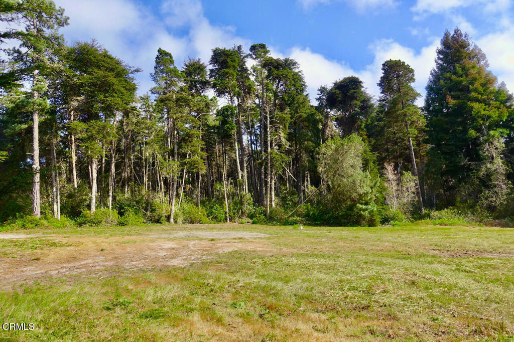 43535 Comptche Ukiah Road Mendocino, CA 95460 - Photo 13 of 16 a backyard of a building with large trees