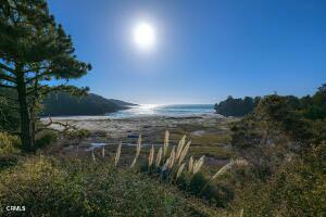 43535 Comptche Ukiah Road Mendocino, CA 95460 - Photo 16 of 16 a view of a backyard of a house