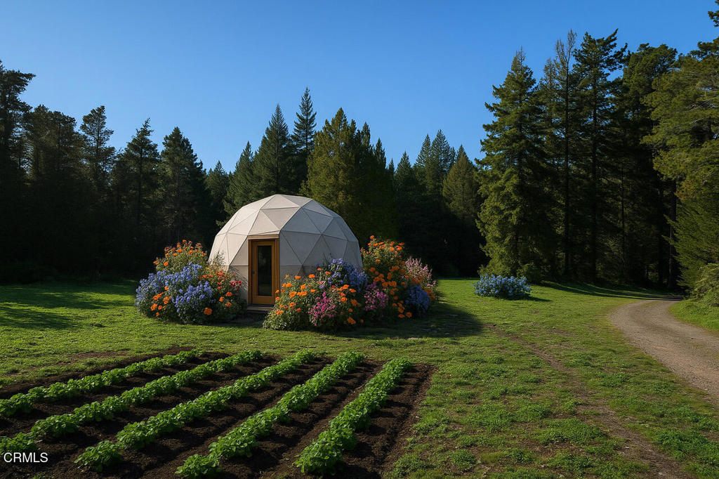 43535 Comptche Ukiah Road Mendocino, CA 95460 - Photo 5 of 16 a view of a park with large trees