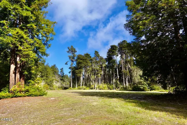 a view of backyard with green space