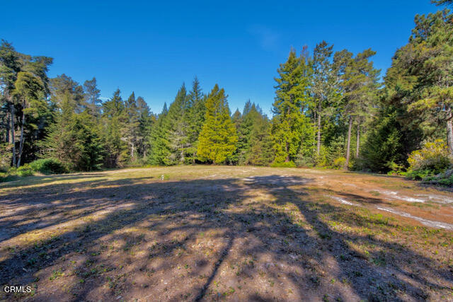 43535 Comptche Ukiah Road Mendocino, CA 95460 - Photo 9 of 16 a view of a yard with a tree