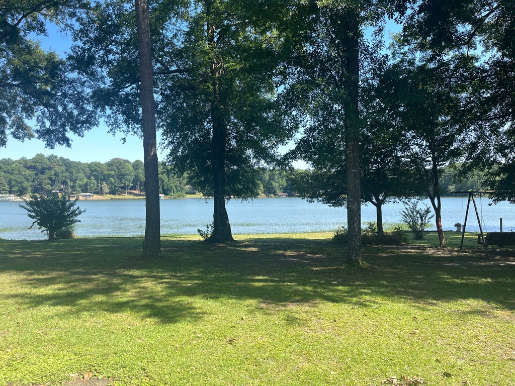 793 Doctors Pt Road Abbeville, AL 36310 - Photo 4 of 14