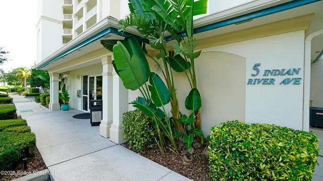 a view of a back yard with a flower plants