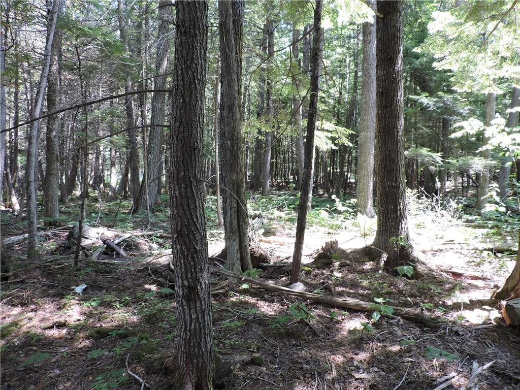 6-16a-50 Rams Island Road Dover-Foxcroft, ME 04426 - Photo 5 of 7 Photo