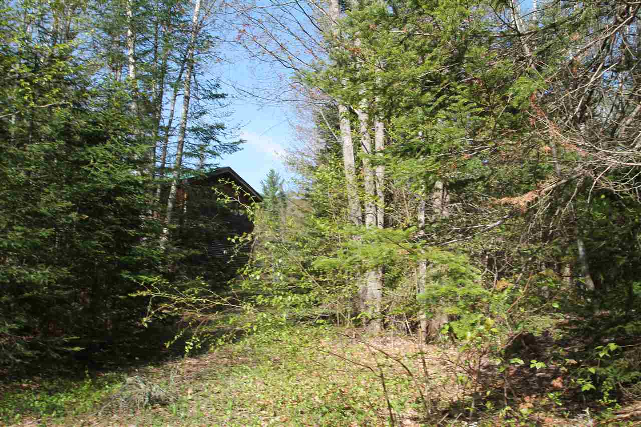 240 Raynor Road Roxbury, VT 05669 - Photo 14 of 14