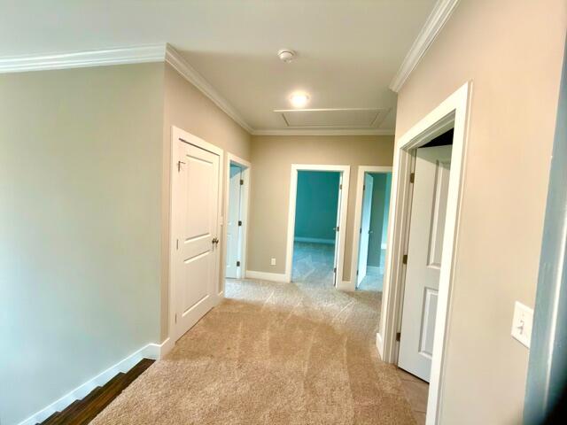 8159 Crossbow Landing Graniteville, SC 29829 - Photo 16 of 24 IMG_2712