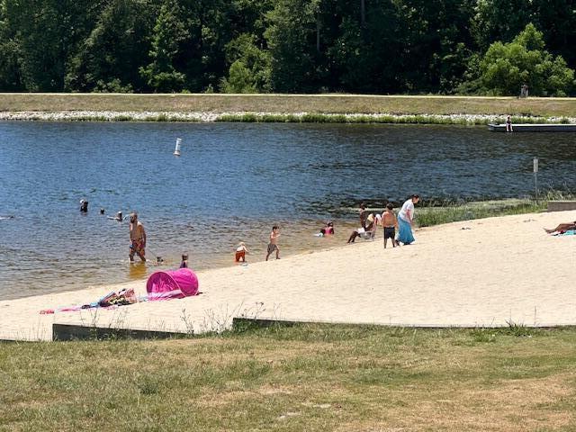 8159 Crossbow Landing Graniteville, SC 29829 - Photo 21 of 24 IMG_6193