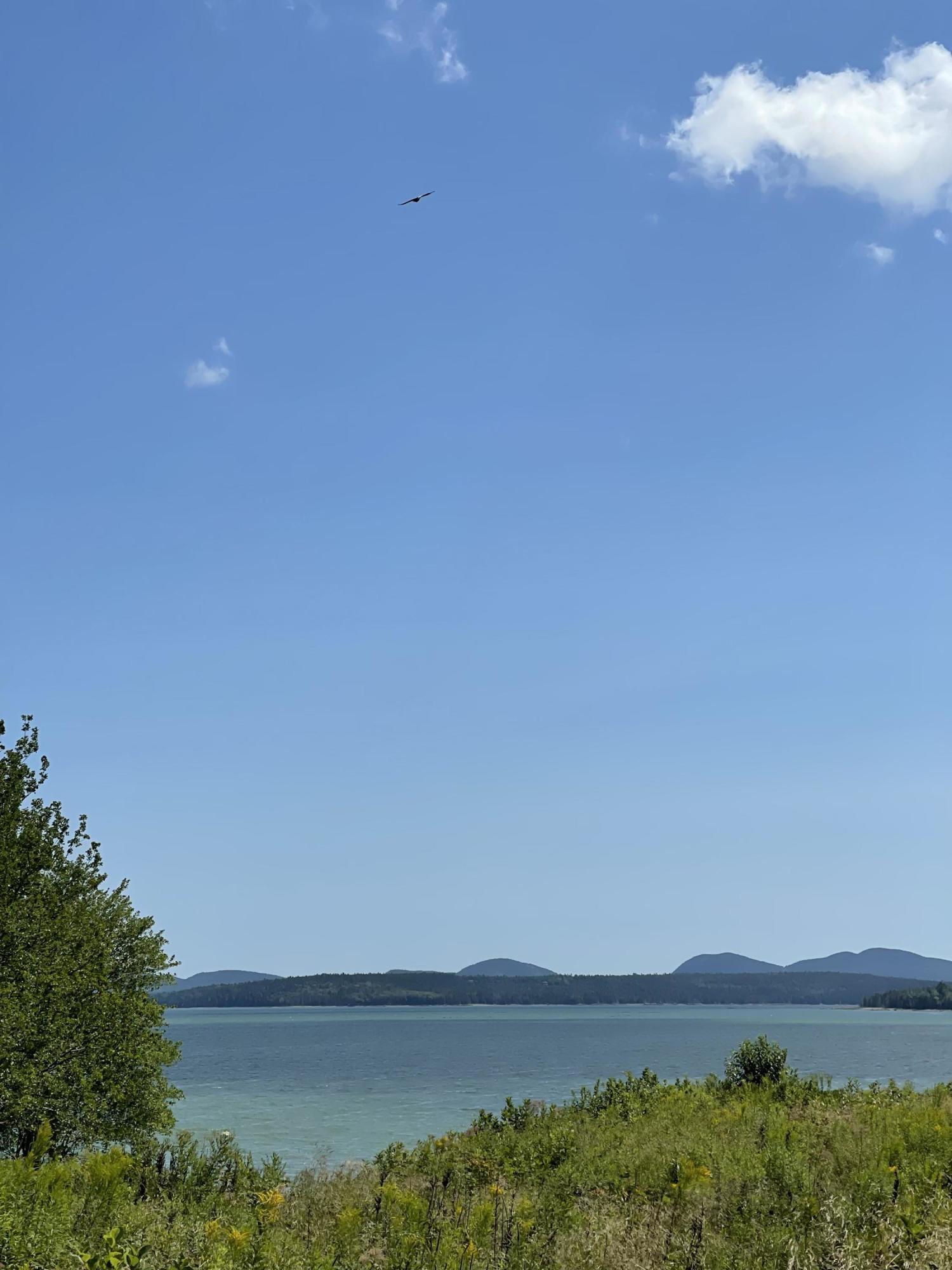 230 Oak Point Road Trenton, ME 04605 - Photo 44 of 59 F24FD0DD-3818-4D16-B8CF-F3F4D53EFB3A