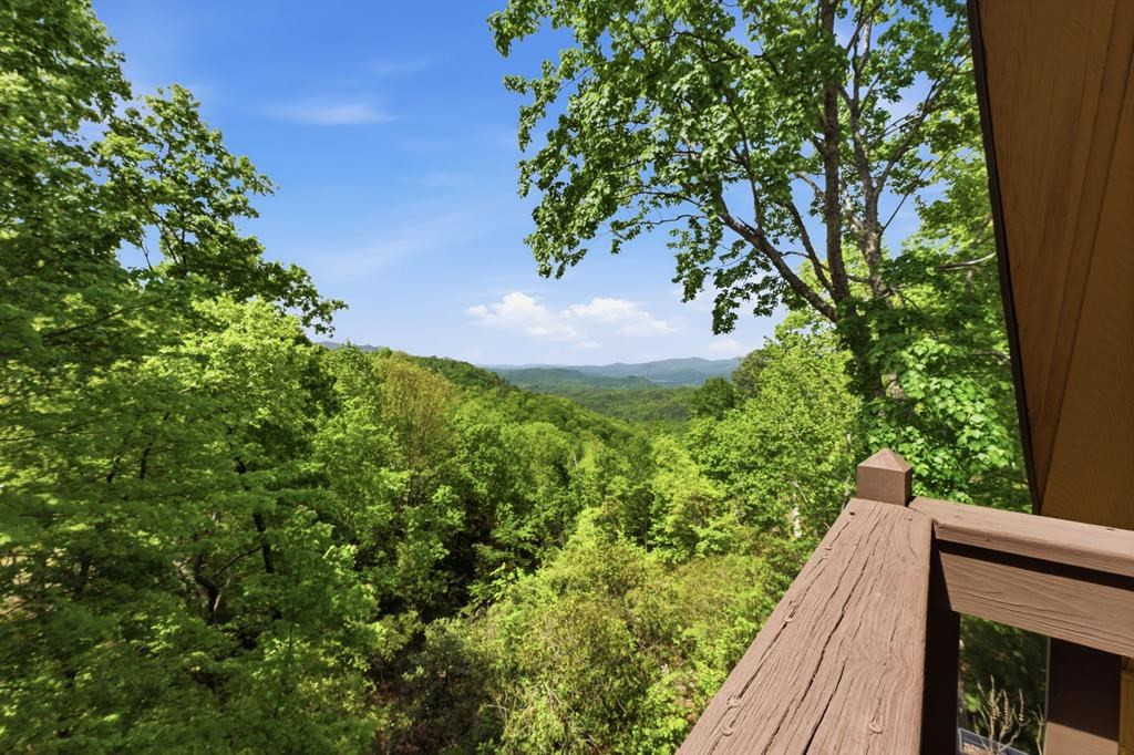 231 Ridge View Drive Andrews, NC 28901 - Photo 11 of 58