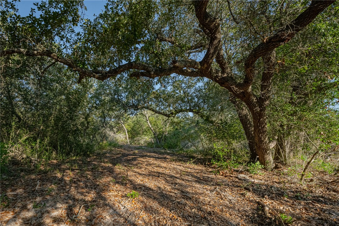 1501 Prairie Road Rockport, TX 78382 - Photo 14 of 17