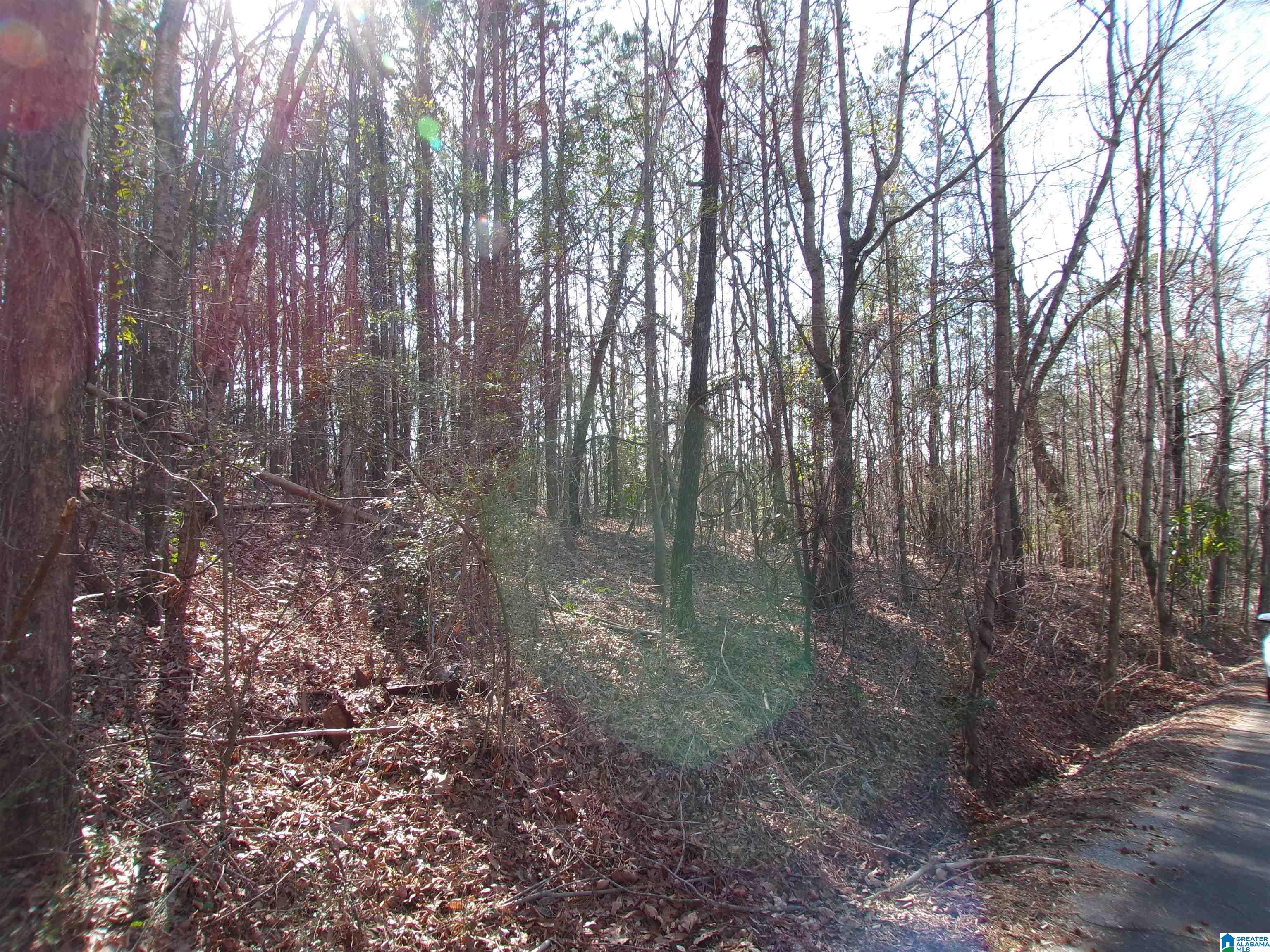 0 Arthur Drive, Unit 27 Weaver, AL 36277 - Photo 9 of 15
