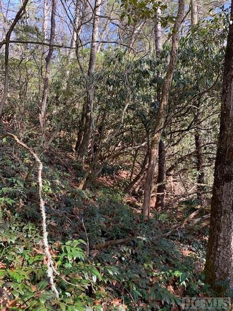 Tbd North Norton Road Cullowhee, NC 28723 - Photo 6 of 16 Gallery Image 6